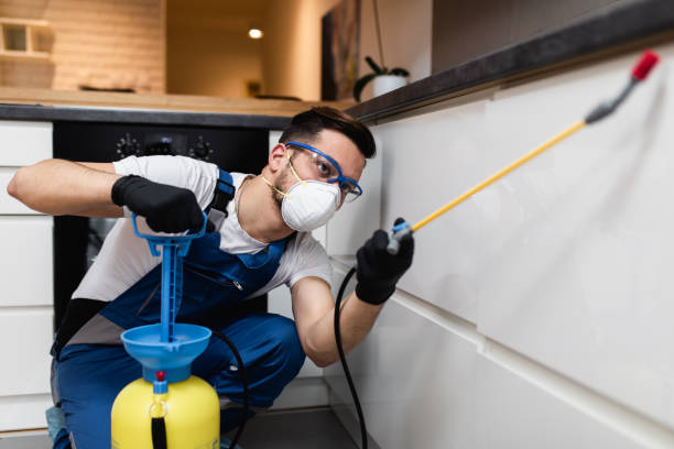 Best Pest Inspection Near Me  in Dana Point, CA