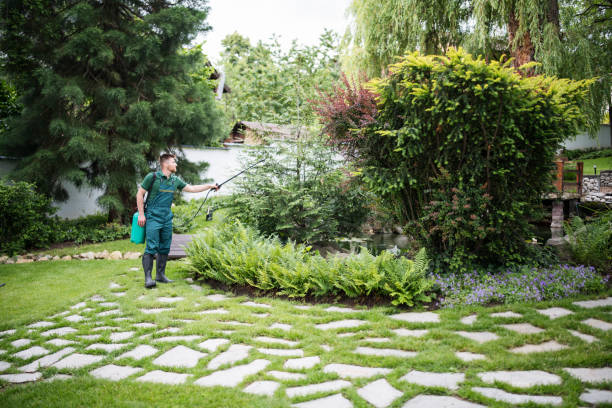 Best Commercial Pest Control Services  in Dana Point, CA