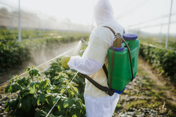 Best Mosquito Control Services  in Dana Point, CA